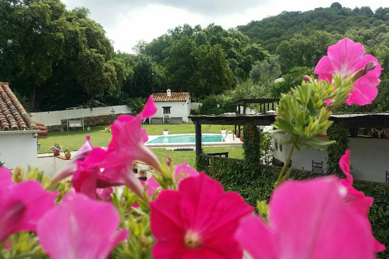 阿拉亚 卡索纳德尔盾德旅馆旅馆 外观 照片
