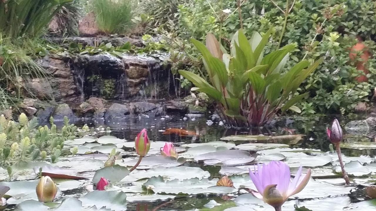 阿拉亚 卡索纳德尔盾德旅馆旅馆 外观 照片